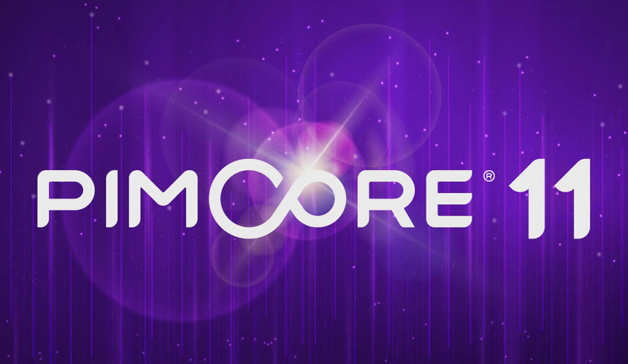 Pimcore 11: Making Digital Transformation Successful